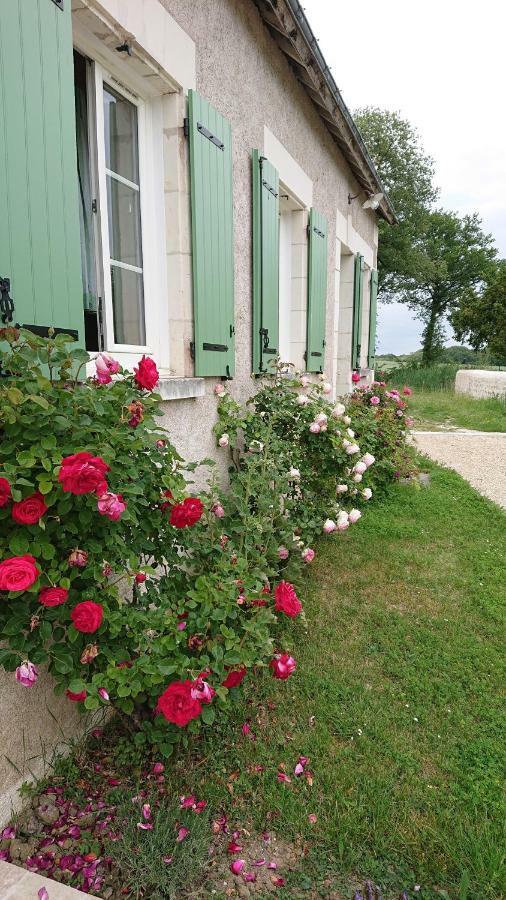 Longere Du Sud Touraine Au Coeur Du Val De Loire Villa Saint-Jean-Saint-Germain Bagian luar foto